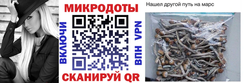 магазин продажи наркотиков  Макушино  Галлюциногенные грибы Cubensis 