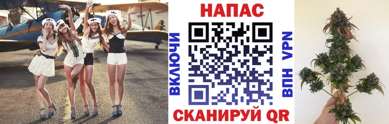 закладка Макушино Конопля OG Kush